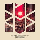 Artwork voor "Mindbreak"