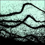 Portada para "Under the Loops"