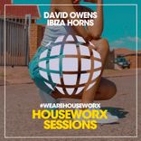 Artwork for "Ibiza Horns"