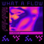 Portada para "What A Flow"