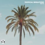 Artwork for "Tropical Sensations"