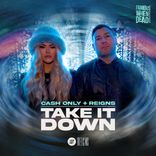 Artwork for "Take It Down"