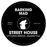 Artwork voor "Street House"