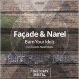 Artwork for "Burn Your Idols"