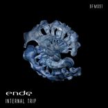Artwork for "Internal Trip"