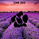 Artwork for "Swisslavender"