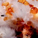 Artwork for "Fides Et Ratio EP"