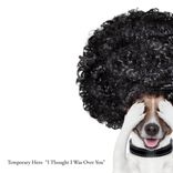 I Thought I Was Over You