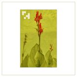 Artwork voor "Thousand Worlds"