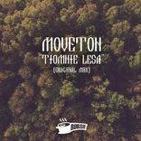 Artwork voor "Tiomnie Lesa"