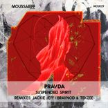 Artwork for "Suspended Spirit"