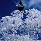 Artwork for "Winter Collection"