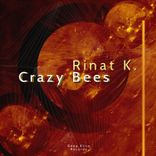 Artwork for "Crazy Bees"