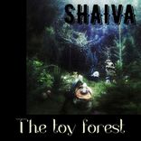 Artwork voor "The Toy Forest"