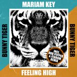 Artwork for "Feeling High"