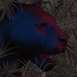 Artwork voor "Lemos.005VA"