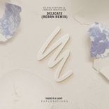 Artwork for "Delicate (REBRN Remix)"
