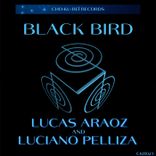 Artwork for "Black Bird"