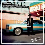 Artwork for "Disco Brother"