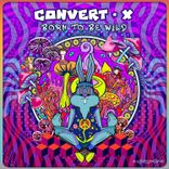 Artwork for "Born to Be Wild"