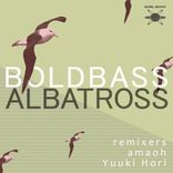 Artwork for "Albatross"