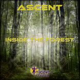 Artwork for "Inside The Forest"