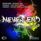 Artwork for "Never End"