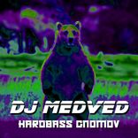 Portada para "Hardbass Gnomov"