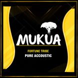 Portada para "Pure Accoustic"