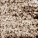 Artwork für "Destiny"