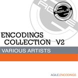 Artwork voor "Encodings Collection V2"