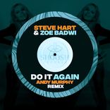 Artwork for "Do It Again"