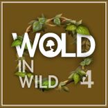 Artwork for "Wold in Wild IV"