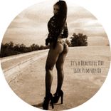 Portada para "It's a Beautiful Day"