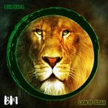 Artwork for "Lion Of Judah"