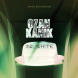 Artwork for "Mr. White"