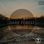 Artwork voor "Dark Forest"