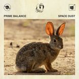 Artwork voor "Space Dust"