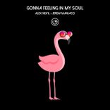 Artwork voor "Got a Feeling in My Soul"