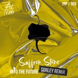 Artwork for "Into The Future (Sorley Remix)"