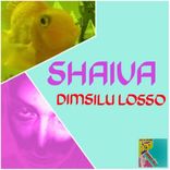 Artwork for "Dimsilu Losso"