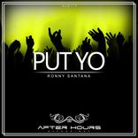Portada para "Put Yo"
