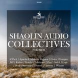 Portada para "Collectives LP (Part 2)"