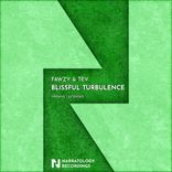 Artwork for "Blissful Turbulence"