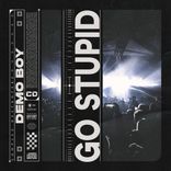 Portada para "Go Stupid"