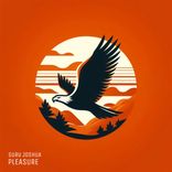 Artwork for "Pleasure"