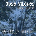 Artwork for "Soul Stems"