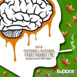 Everything's on Fire