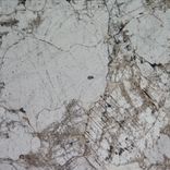 Artwork for "Solitary"