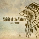 Artwork for "Spirit of the Nature"